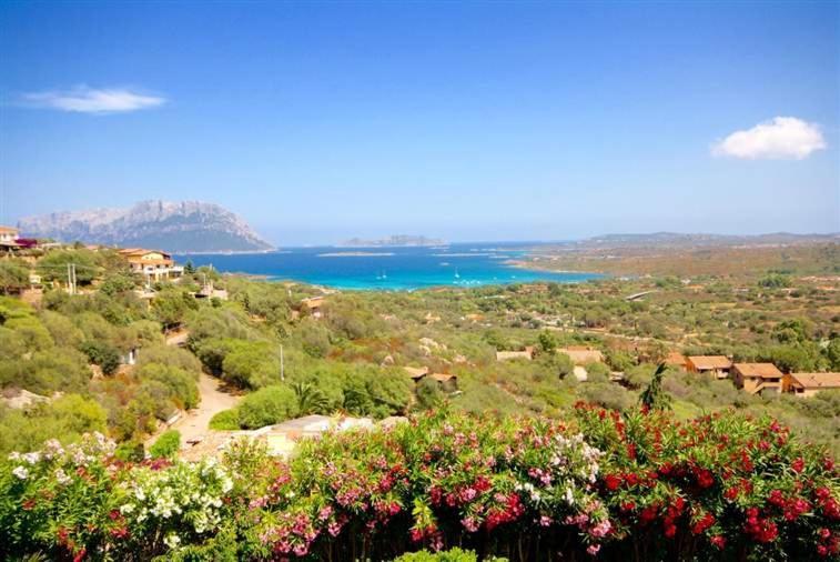 Villa And Pool Tavolara View Porto Istana Kültér fotó